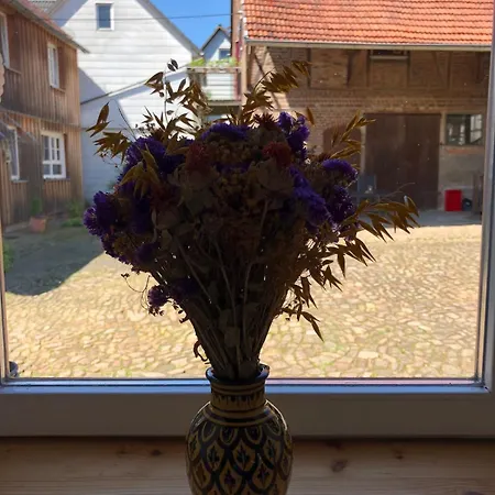 Сasa de vacaciones Pretty Half-timbered On Romantic Yard *